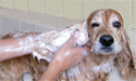 Peluquería